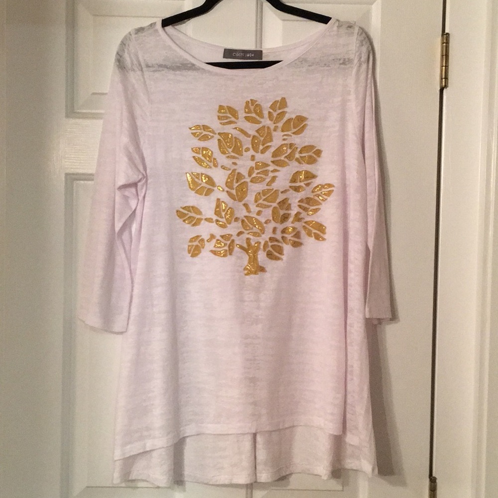 Coin 1804 tunic top
